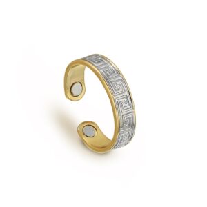 MAGNETIC RING